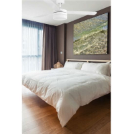 FARO  White Ceiling Fan With Light Panay is a product on offer at the best price