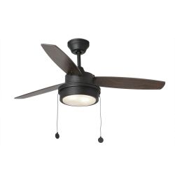 Ceiling Fan With Black Light