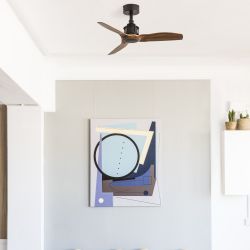Smart Just Fan Mit App