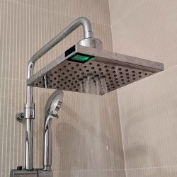 Overhead Shower With Lcd Thermometer